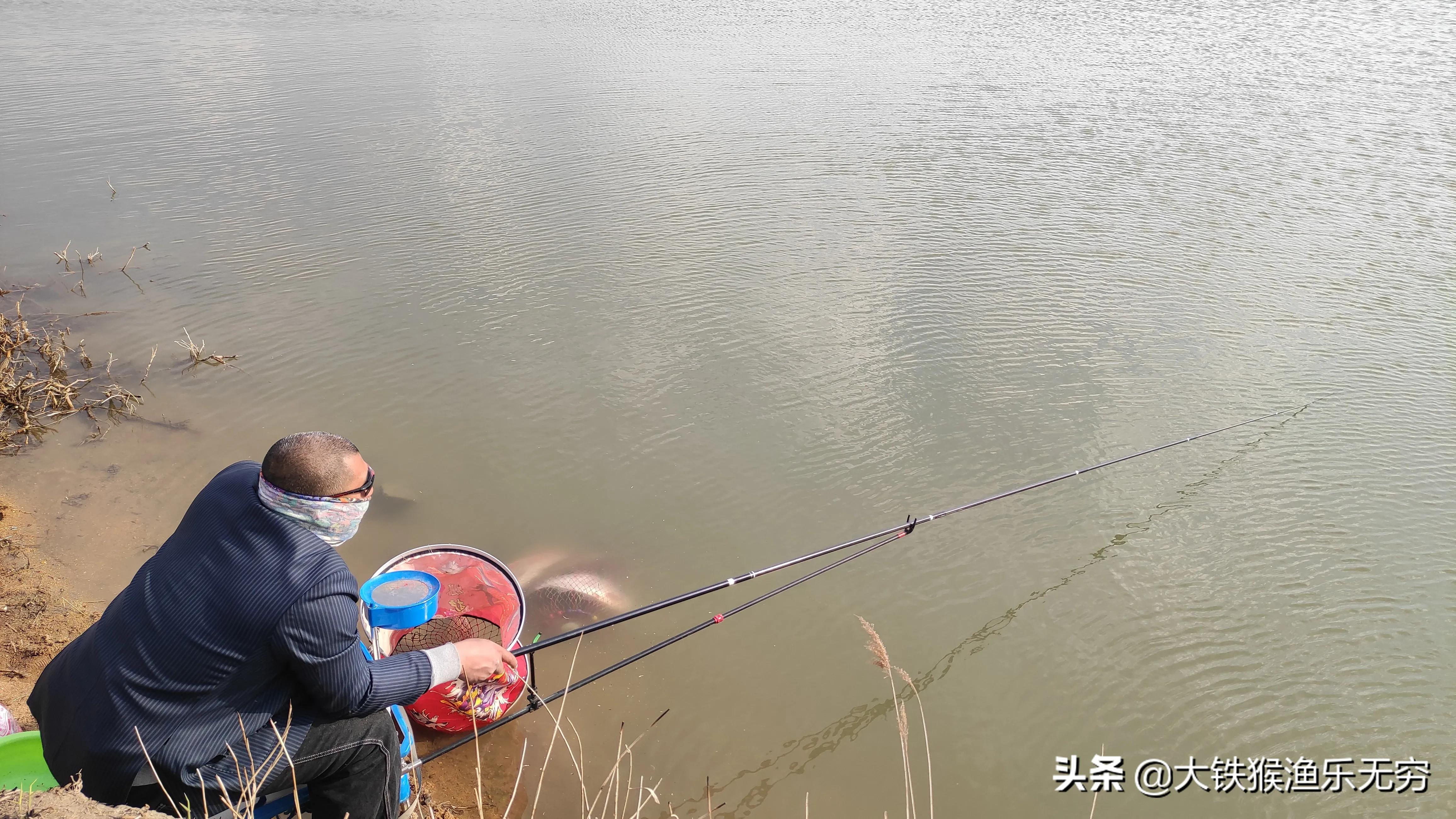 钓鲢鳙鱼最简单有效的办法,老钓友分享钓法