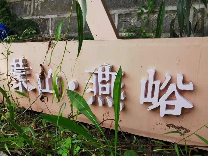 山东蒙山燕峪景区首届电音泼水节嗨爆启幕