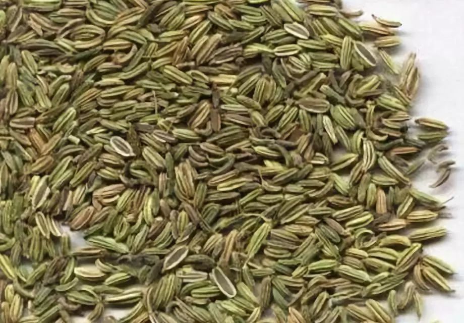 全国各地最全特产,全新疆特产