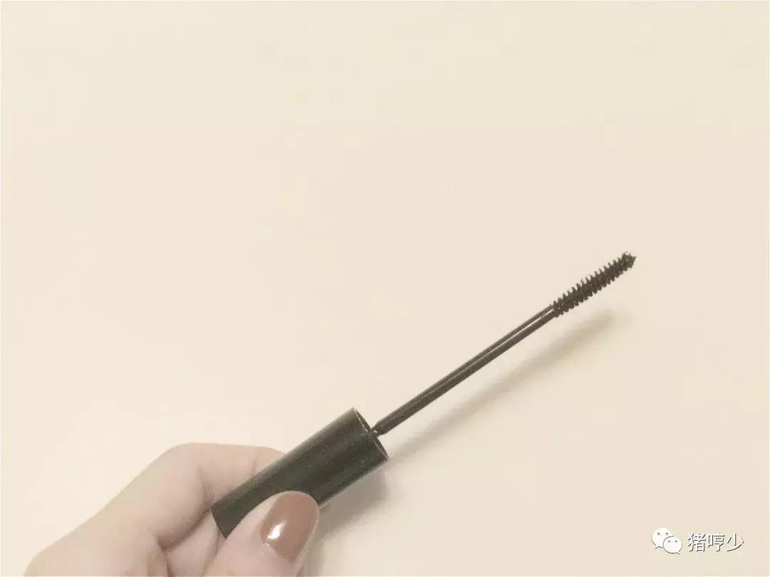 编辑部要学点什么,编辑部都有什么东西