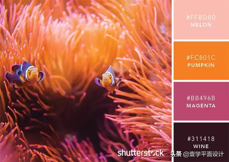 设计师钟爱的9组高级感配色方案,家装设计师配色方案色卡