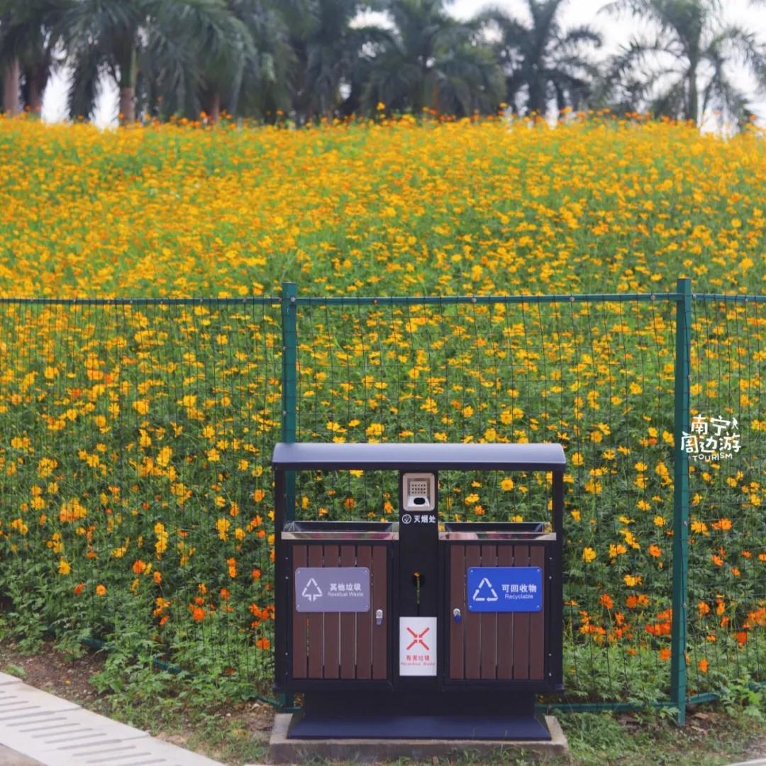 南宁花海公园在哪里,南宁嘉和城附近花海