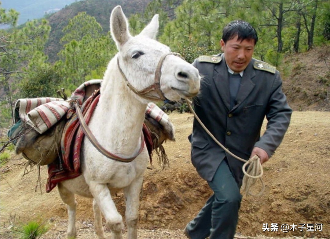 品味《信客》:生活虽苦,心如朗月