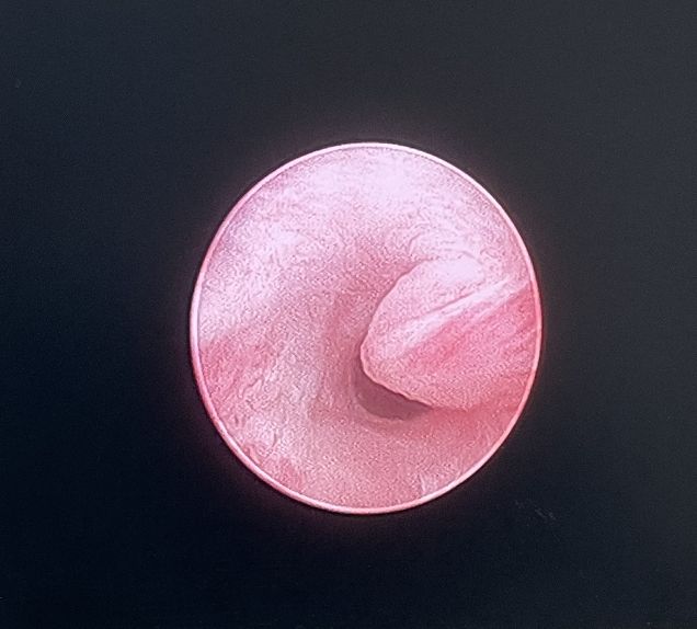 涓尰鍗佸ぇ琛屽尰绗旇,鍚嶅尰鏈