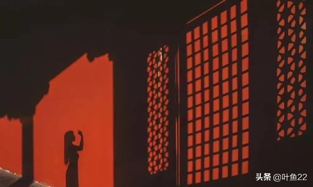 摄影阳光教程,摄影技巧阳光灿烂的日子