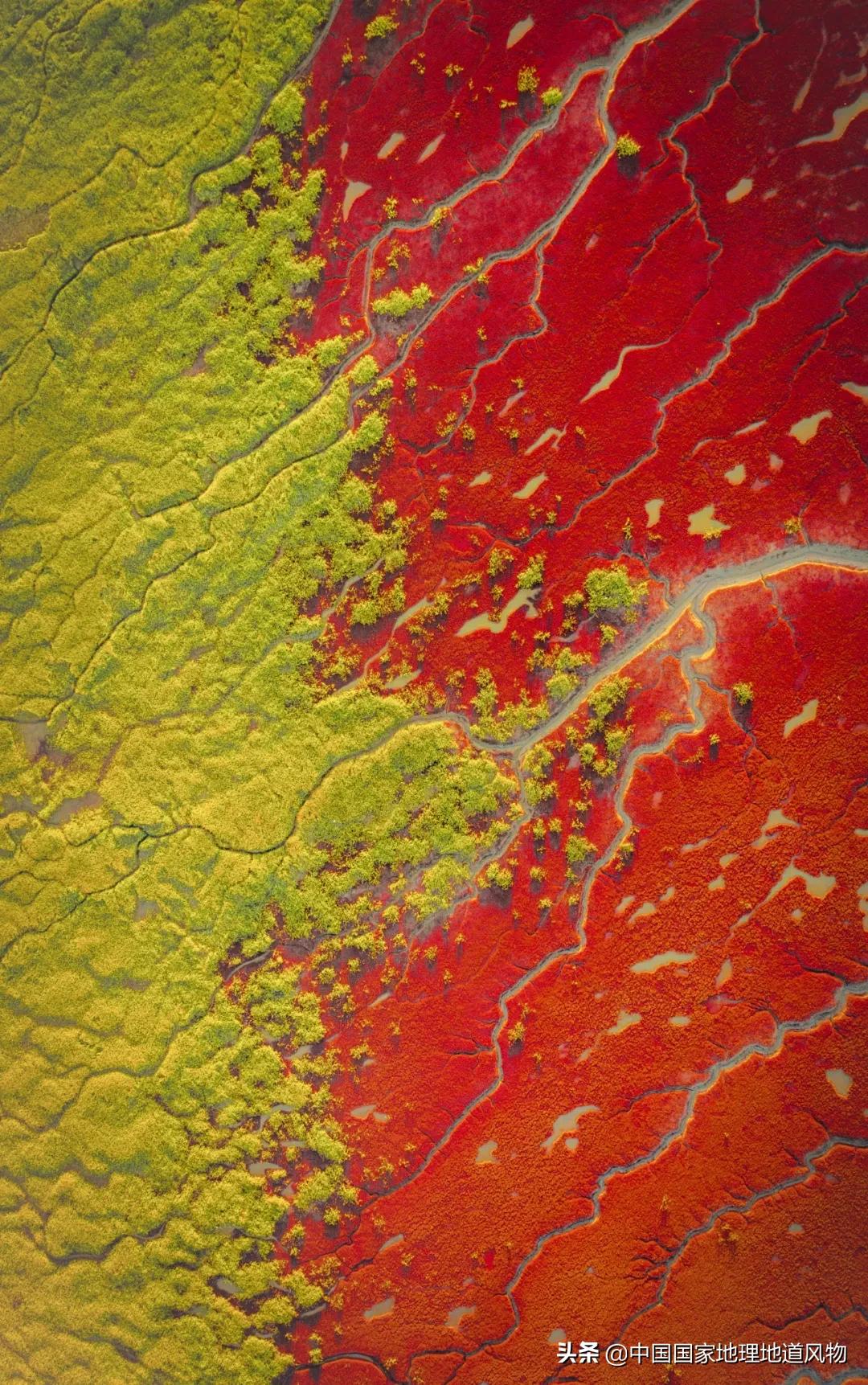 辽宁吉林黑龙江省会分别是哪里,黑龙江和辽宁谁代表东北