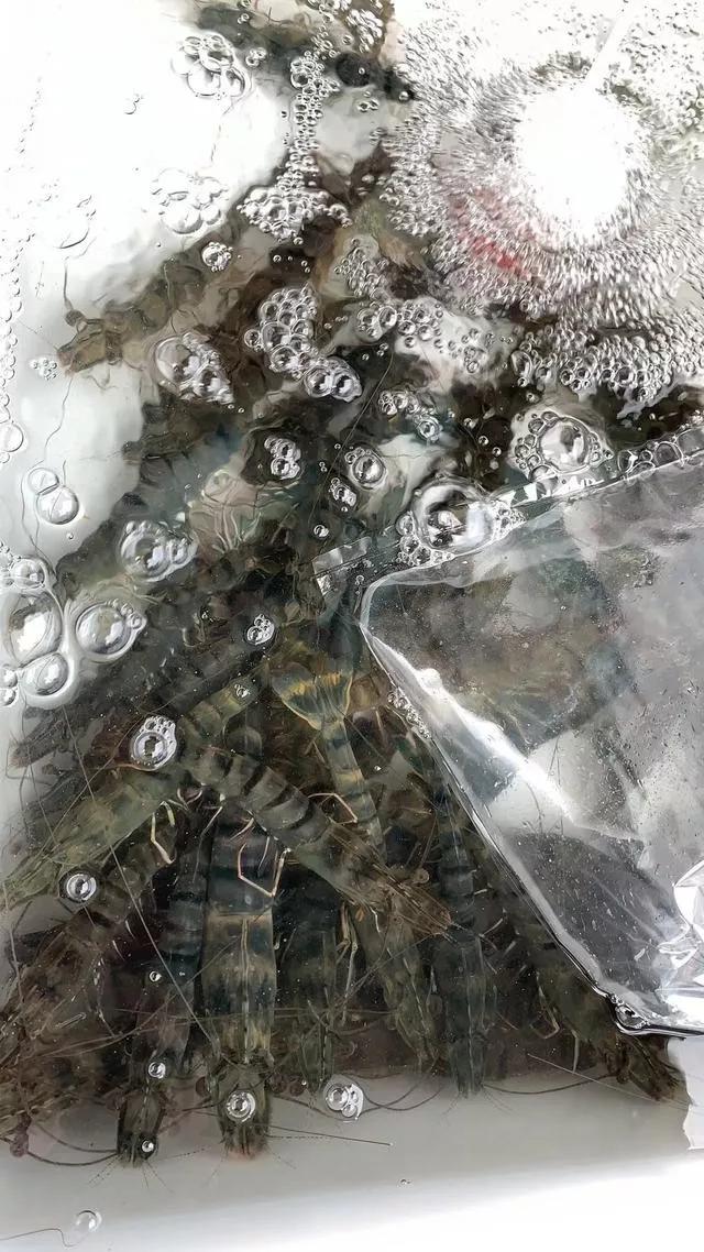 普吉岛自由行美食全攻略,普吉岛旅游攻略美食