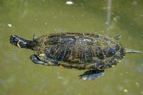 名联欣赏经典对联100副流传千古,励志对联大全千古绝对经典七言