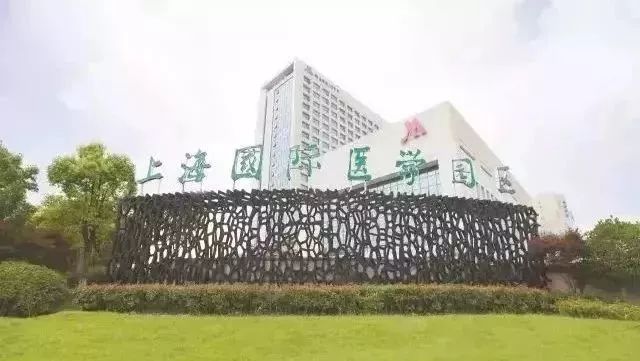 结棍！浦东又双叒叕要爆发了，全上海都得羡慕！