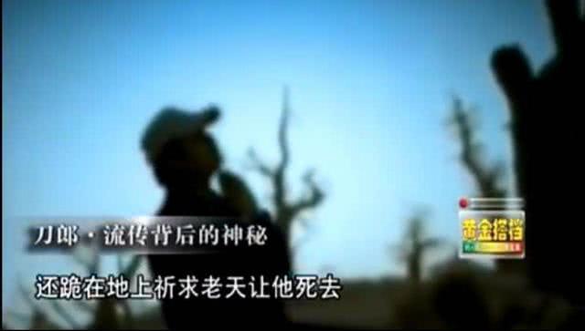 刀郎骂了谁,刀郎离家出走后的故事