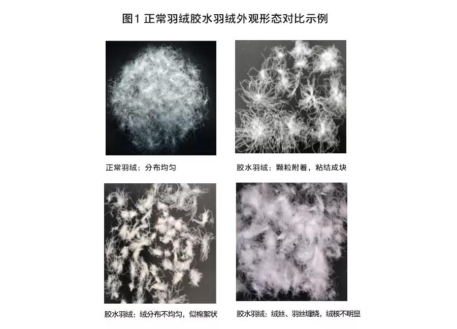 五防面料羽绒服测试,狼爪羽绒服测试