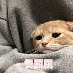 冒充朋友骗充话费能追回吗,冒充朋友骗充话费