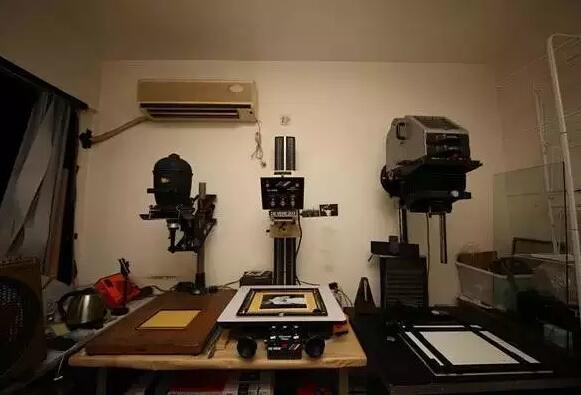 现实中拍摄到的翼龙,一百年前翼龙照片