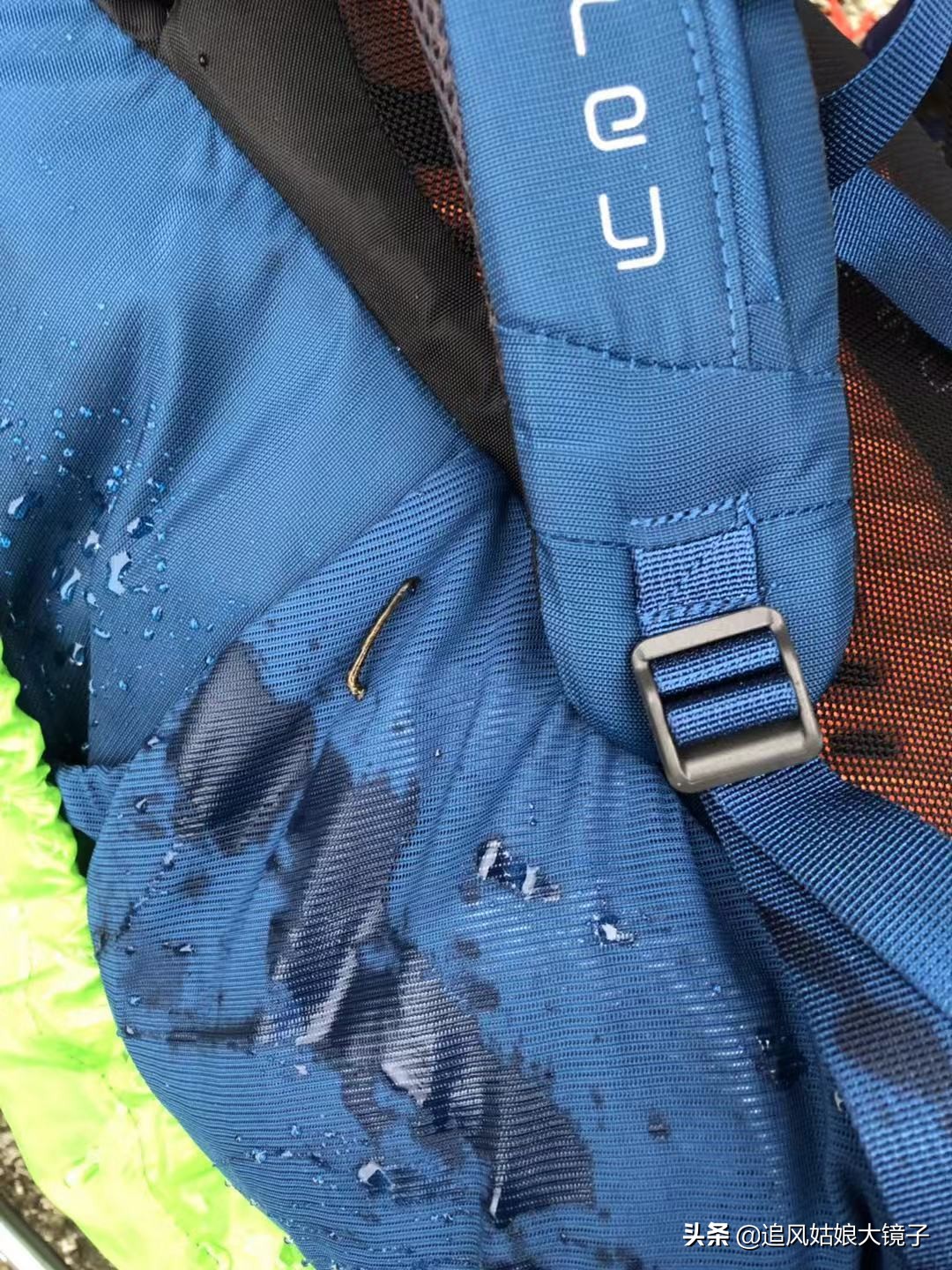 穿越到原始森林里面,穿越原始森林来种田