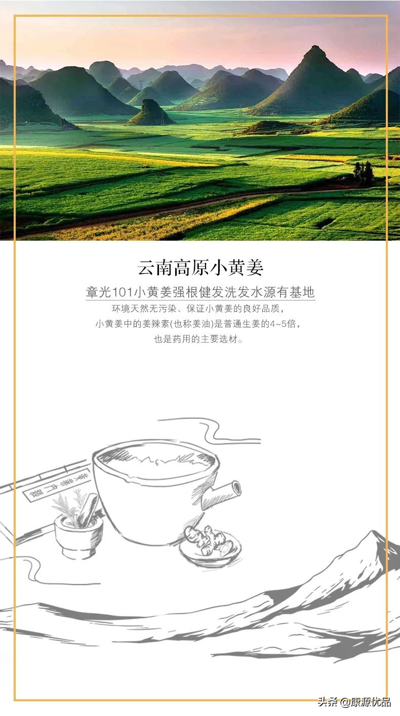 高能！拯救万千“打工人”得掉发危机