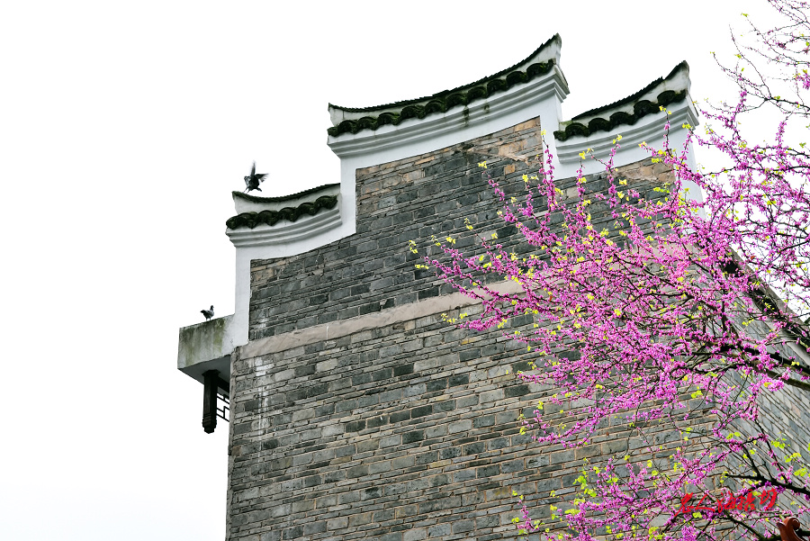 贵州黔东南镇远古镇旅游攻略,黔东南镇远古城一日游