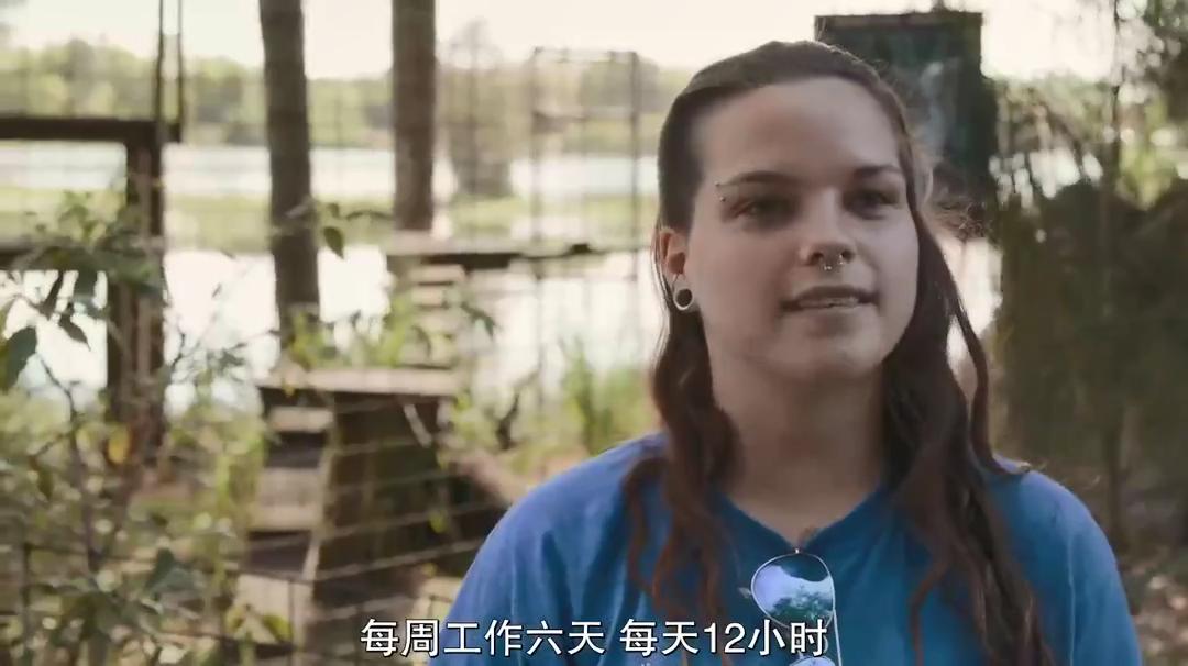 疫情中全美国都在安利这疯子电影