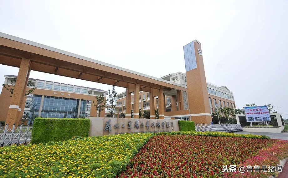 苏州有哪些五年一贯制学校,苏州园区九年一贯制学校排名