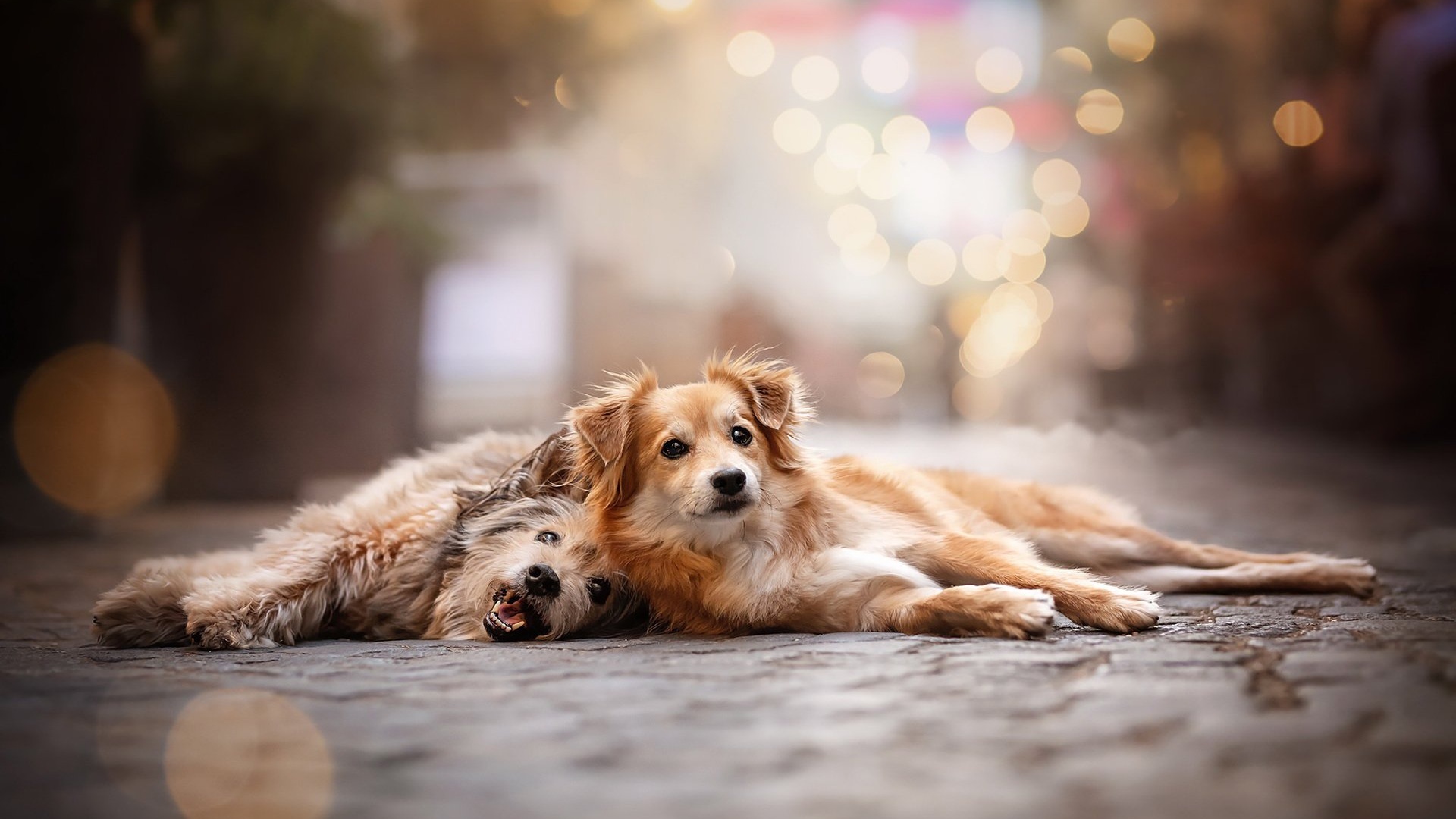 电脑桌面壁纸怎么设置,电脑桌面壁纸高清4k