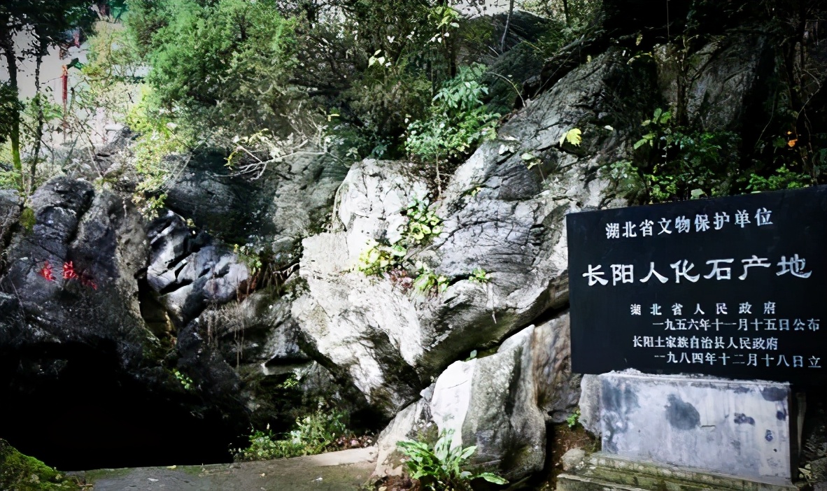 这个夏天非同寻常作文600字,关于夏季的原创散文