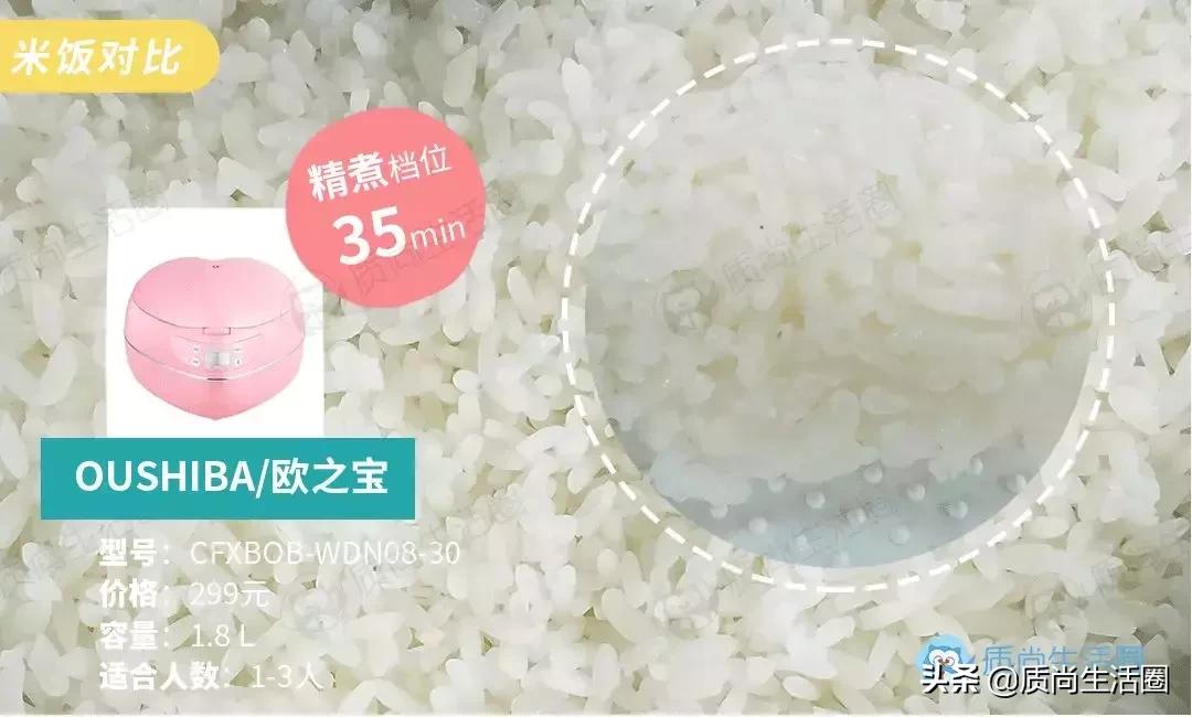 小米电饭煲哪一款煮饭速度快,电饭锅测评迷你