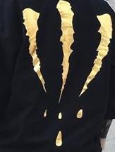 中国潮牌品牌大全,国潮图形设计logo图片