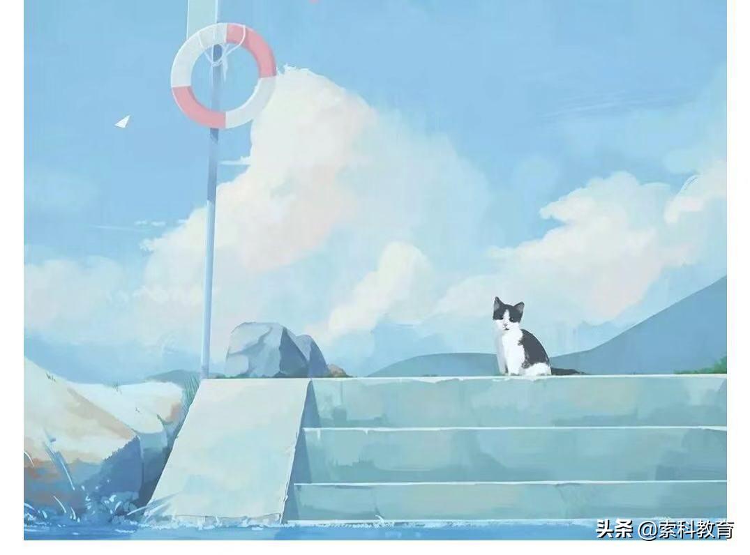 怎样学好英语语法的软件,怎样学好英语语法初中