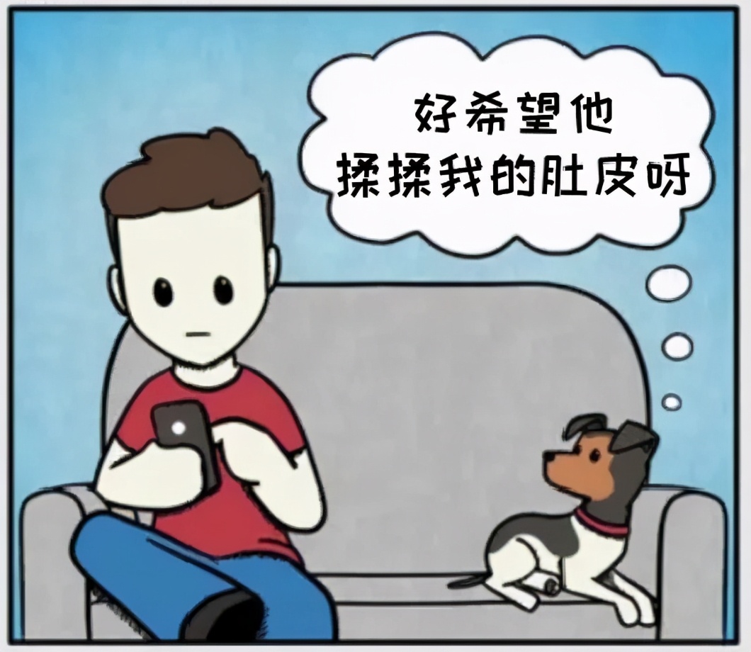 猫和铲屎官漫画全集,铲屎官和狗子的漫画