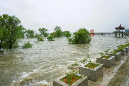 63厘米!16个昼夜!合肥是如何拼尽全力的?