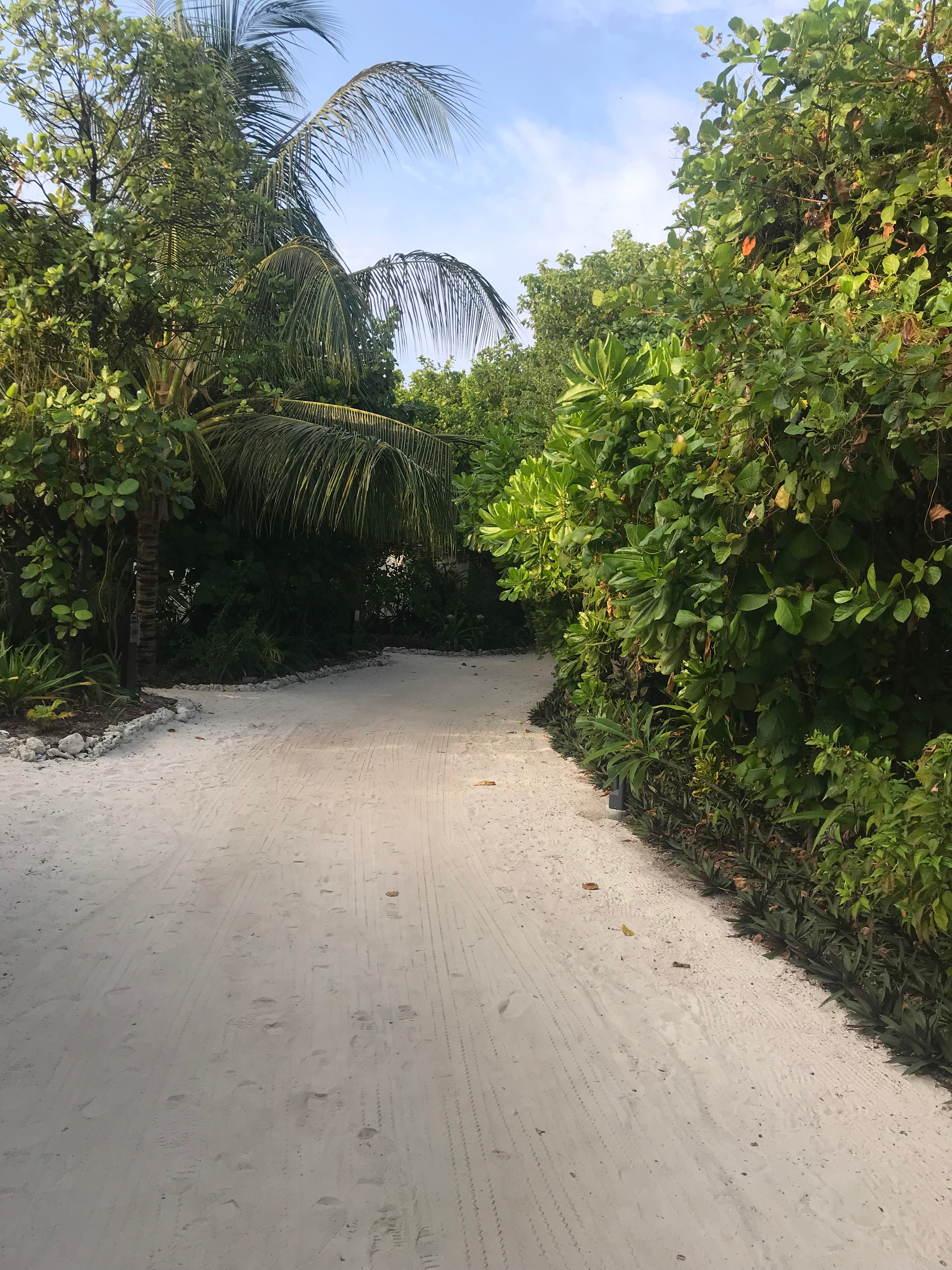 鲁滨逊努努岛游记攻略,马尔代夫鲁滨逊努努岛怎么样