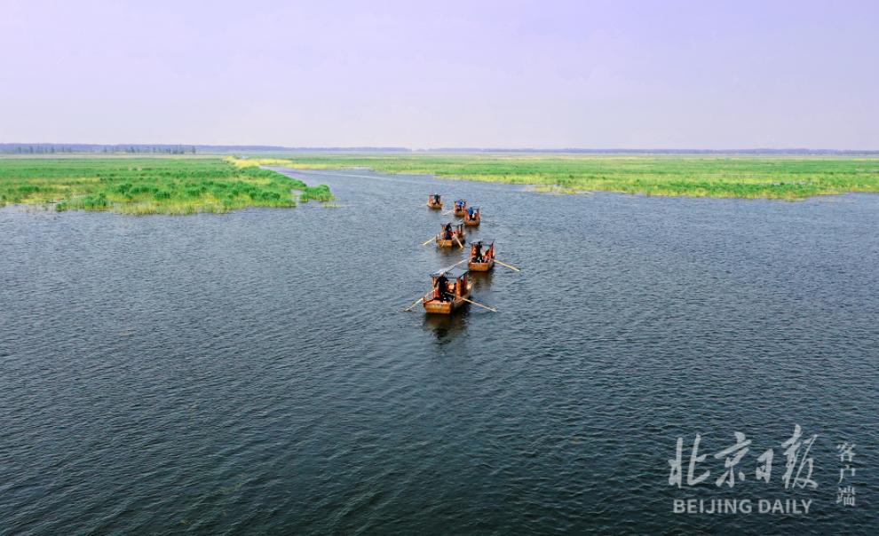 白洋淀被称为华北之肾的主要原因,白洋淀华北之肾