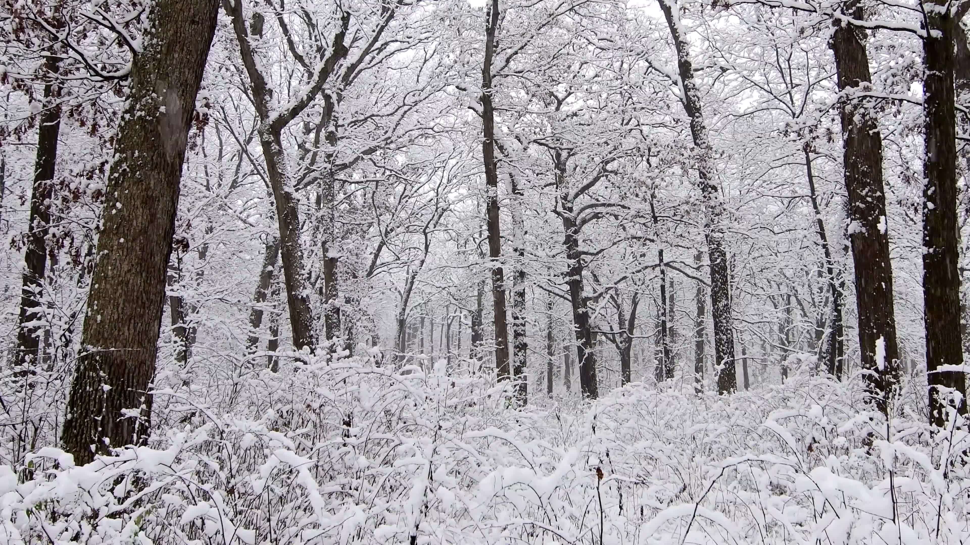 民国连环杀人案农村,山村血案真相纪实完整版