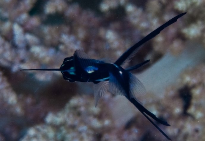 海底你不知道的东西,海底世界东海龙宫