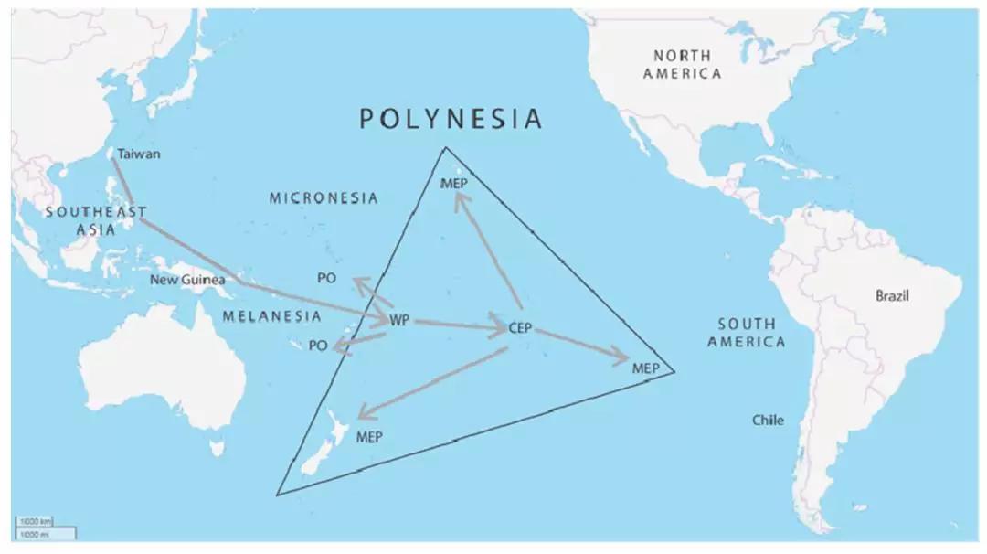 有的人吃了无数个烤地瓜，却不知道没有蕃薯的中国有多难