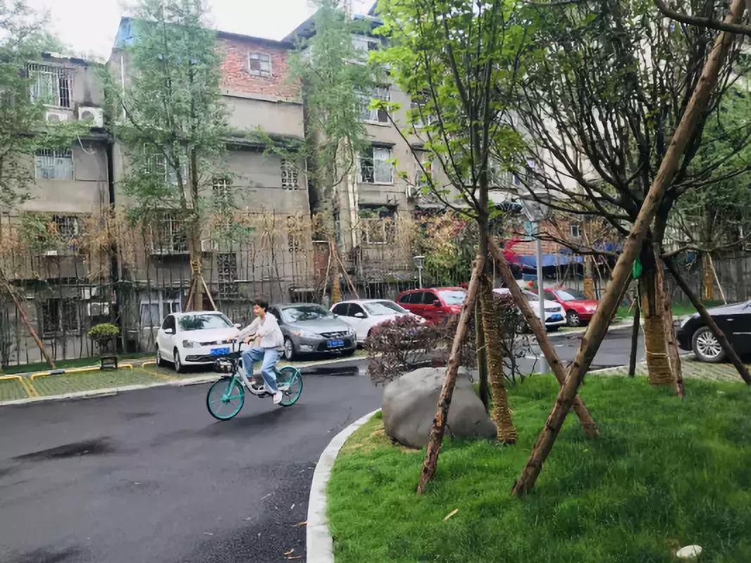 乐山即将打造的公园,今日视点四川