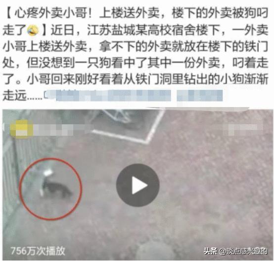 点个外卖都能遇到戏精？哈哈哈哈哈哈哈哈哈哈笑喷