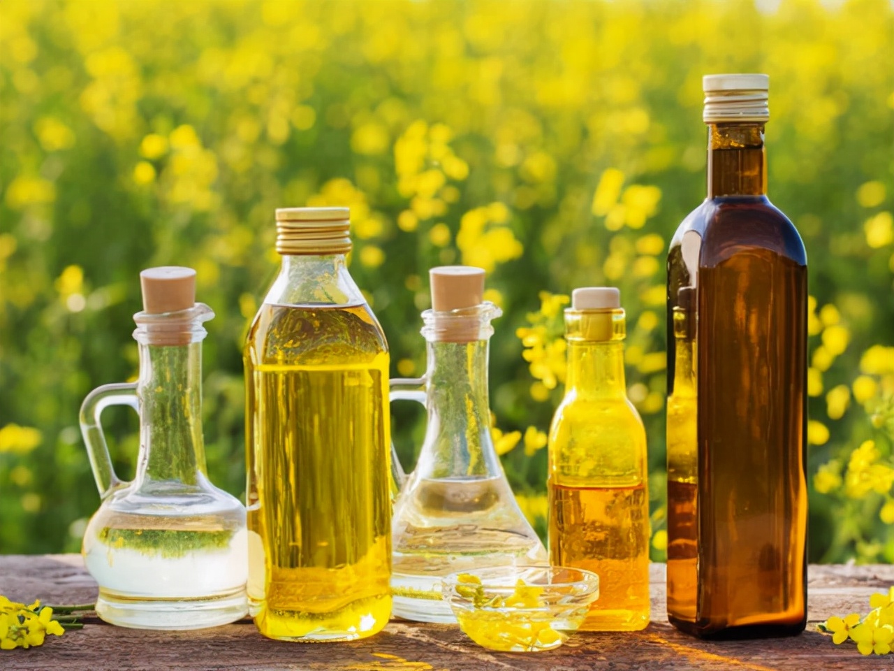 花生油菜籽油和玉米油哪种更健康,玉米油菜籽油橄榄油花生油哪个好