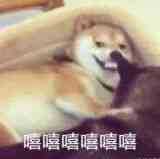 好看的免费英语学习网站,三个超好用的英语学习网站