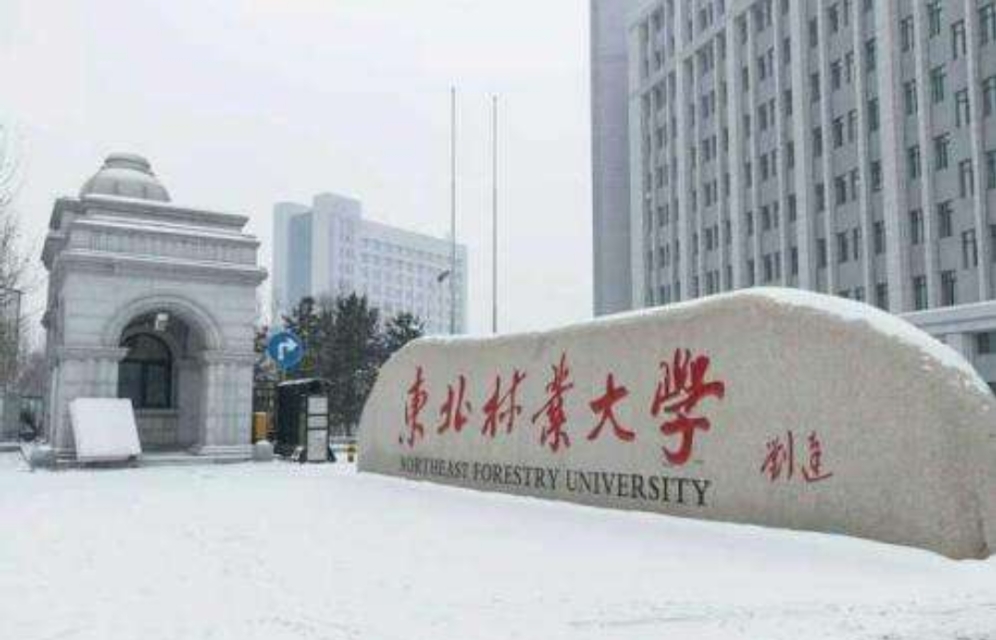 占地面积最大的学校是哪个,中国有几所森林学校