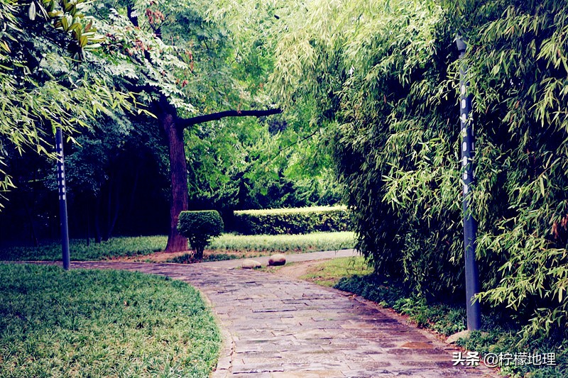 西安高新最新公园有哪些,西安新纪元公园多大