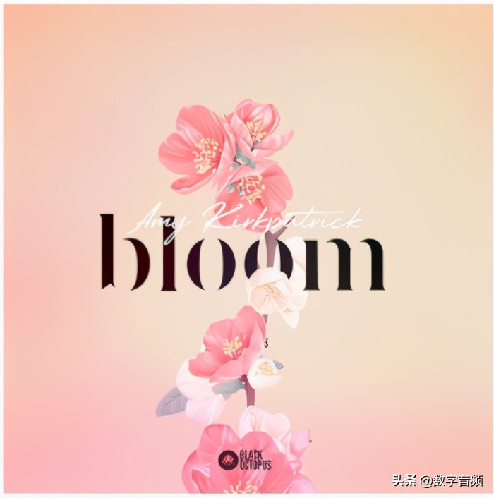 Cubase11升级的新功能体验与介绍