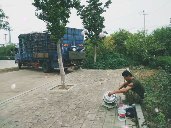 新西兰康维他蜂蜜功效,为什么新西兰的蜂蜜这么贵