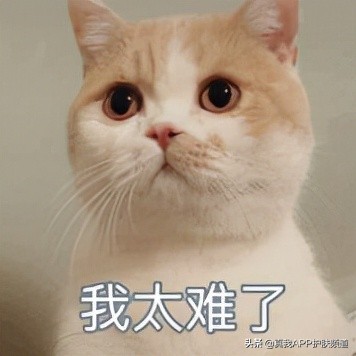 脸上长痘痘反反复复该怎么办,脸上一个部位反反复复长痘痘