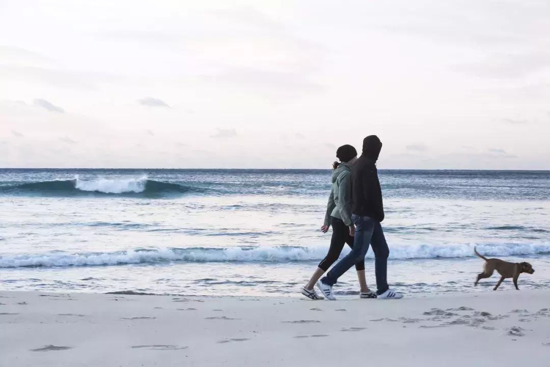 最新澳洲签证时间,2023澳洲签证申请多久出结果