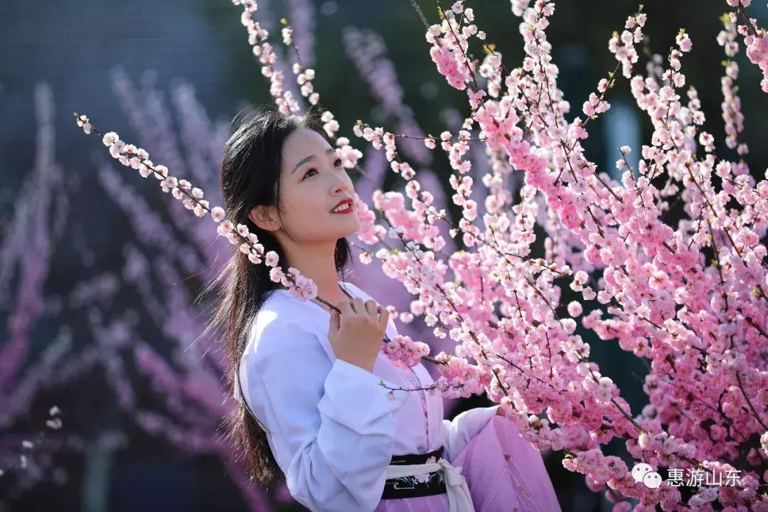 春到泉城之泉城公园,大美宁阳复圣公园