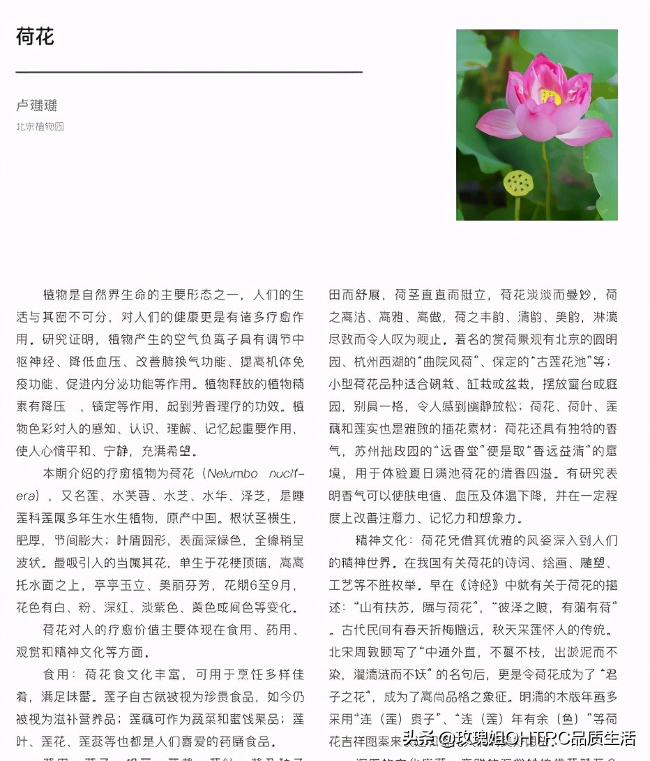 2023中国园林康养与园艺疗法大会,园艺疗法与园林康养