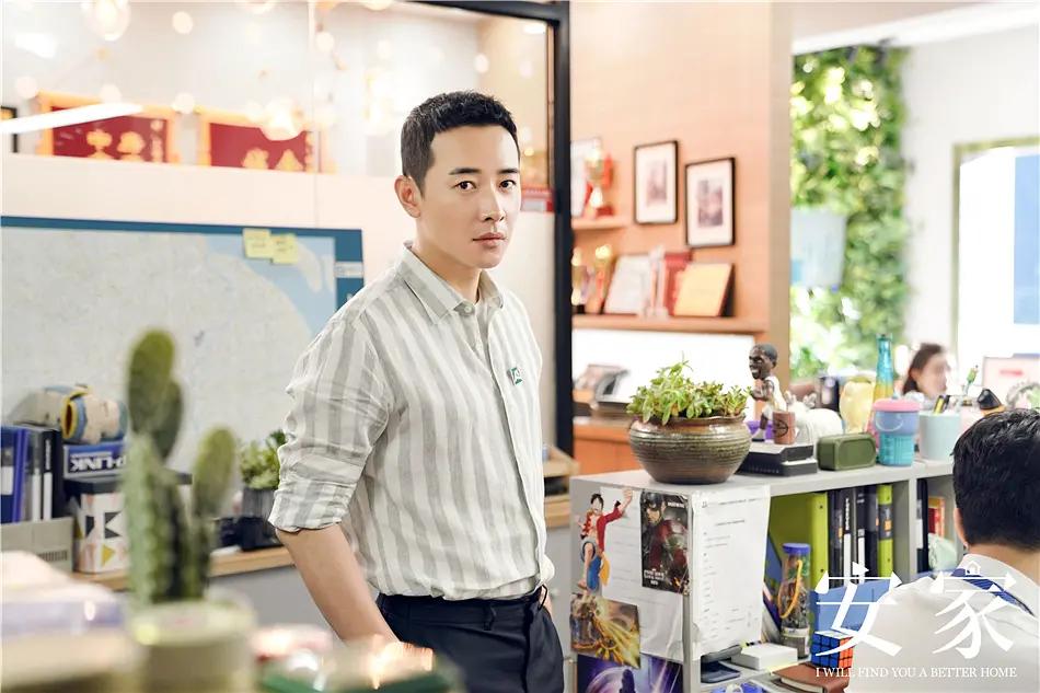 安家收视率全年最高,安家收视率