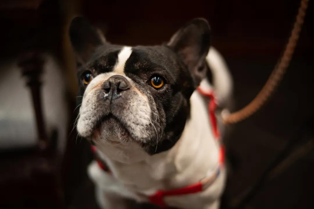 鑰佽洐24mmf14,鑰佽洐45mmf0.95闀滃ご璇勬祴