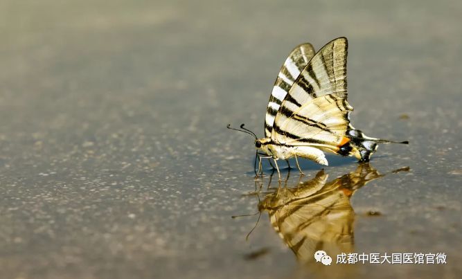 为啥妇科总有问题,为什么妇科老是那么多炎症