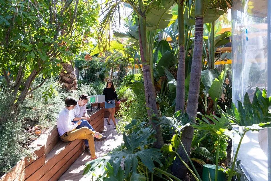 深圳市有梦想城市,深圳有梦想的城市